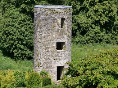 Ağaçların arasındaki eski Kelt kalesi, İrlanda 'daki Blarney kalesi, eski Kelt kalesi.