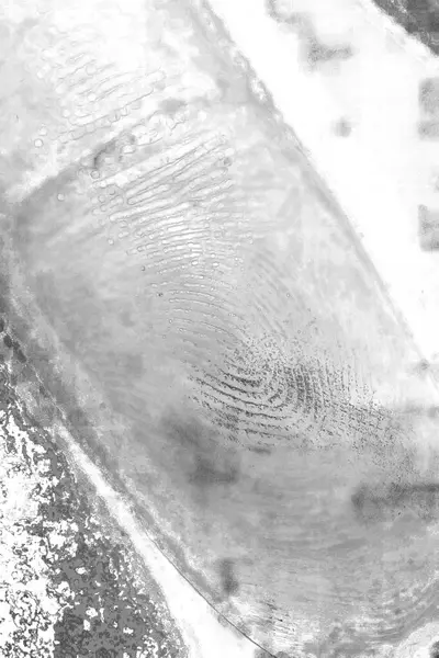Fingerprint identity verification concept, criminal biometric research background