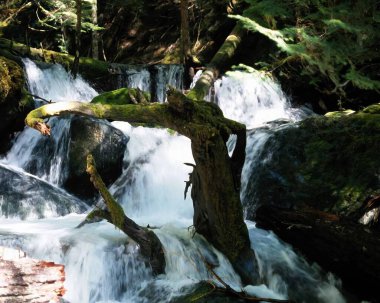 Şelale ve dağ nehri arkaplanı. Doğal çevre manzarası