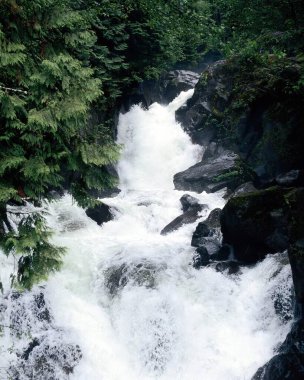 Şelale ve dağ nehri arkaplanı. Doğal çevre manzarası