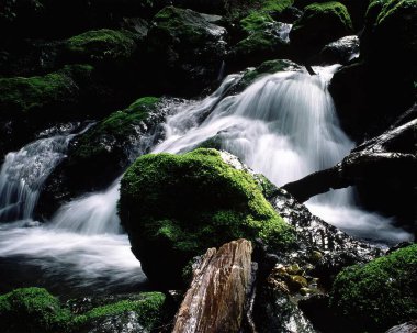 Şelale ve dağ nehri arkaplanı. Doğal çevre manzarası