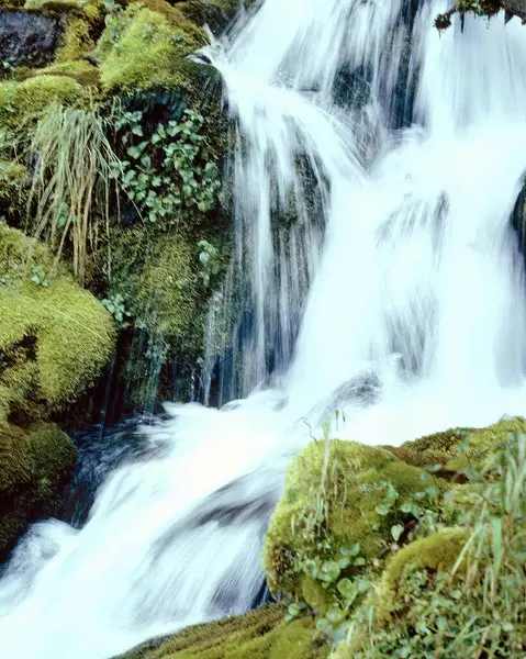 Şelale ve dağ nehri arkaplanı. Doğal çevre manzarası