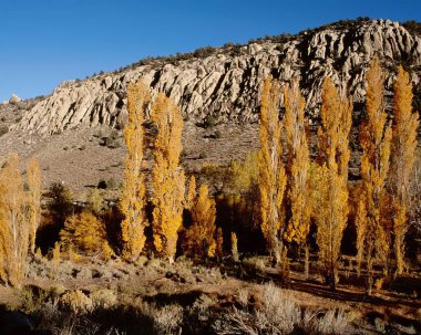 Dağlar arka planda. Yüksek dağlar, kayalar ve tepeler