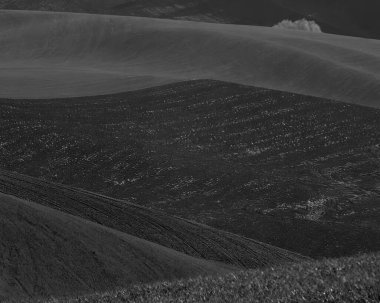 Peyzaj arka planı. Güzel doğanın siyah beyaz fotoğrafı.