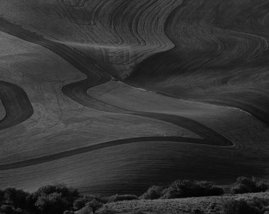 Peyzaj arka planı. Güzel doğanın siyah beyaz fotoğrafı.