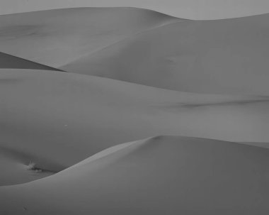 Peyzaj arka planı. Güzel doğanın siyah beyaz fotoğrafı.