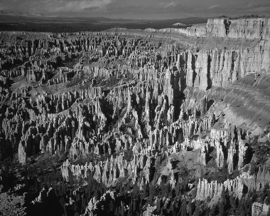 Peyzaj arka planı. Güzel doğanın siyah beyaz fotoğrafı.