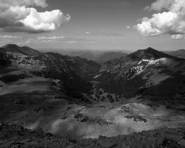 Peyzaj arka planı. Güzel doğanın siyah beyaz fotoğrafı.