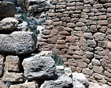 Peyzaj arka planı. Güzel doğa fotoğrafı.