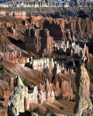 Peyzaj arka planı. Güzel doğa fotoğrafı.