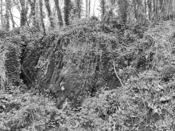 stock image Walls of old celtic caves in Ireland, rocks and mountains in the forest background