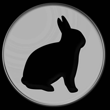 Bunny tabelada beyaz arka plan üzerinde izole mavi bir camsı düğmesi