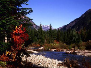 Serene Mountain Landscape with Larch Trees and Flowing Water Beneath a Bright Sky clipart