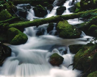 Serene Waterfall Flowing Through Lush Green Vegetation in a Natural Landscape clipart