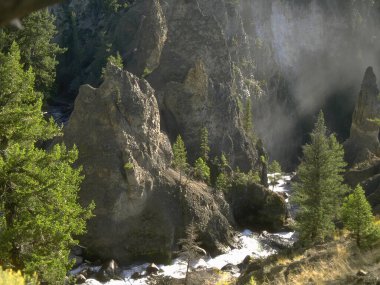 Lush Highland Landscape Featuring Larch Trees and Serene Watercourse in Rugged Mountain Terrain clipart