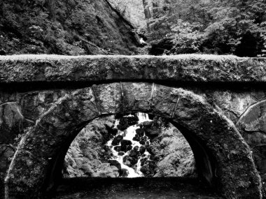 Bridge in the Forest HDR Composition Picturesque Black and White Background clipart