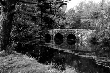 Bridge in the Forest HDR Composition Picturesque Black and White Background clipart