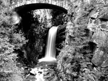 Bridge in the Forest HDR Composition Picturesque Black and White Background clipart