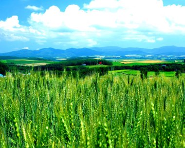 Parlak Alan HDR Doğal Arkaplan