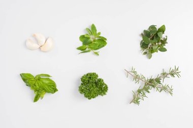 Taze otlar arka plan, aşçılık Aromatiği, Herb Garden yakın plan.