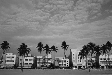 Serene Daytime Landscape Featuring Arecales and Modern Building Against a Cloudy Sky clipart