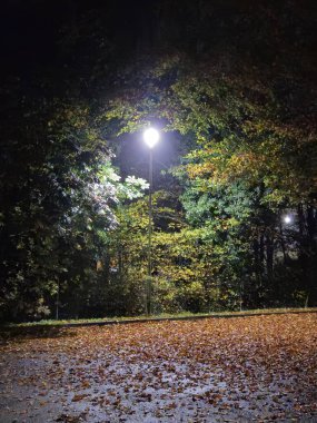 Lamp post and night lights surrounded by trees romantic natural  clipart