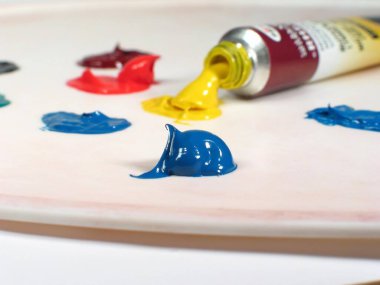 Palette Taze Sıkıştırılmış Boya