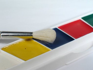 Palette Ayrıntılı Suluboya Fırçası