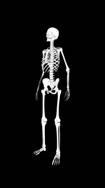 Siyah arka planda insan iskeleti, X-ray kemikleri