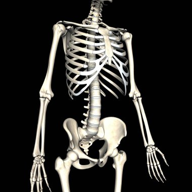 Siyah arka planda insan iskeleti, X-ray kemikleri