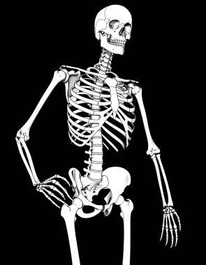 Siyah arka planda insan iskeleti, X-ray kemikleri
