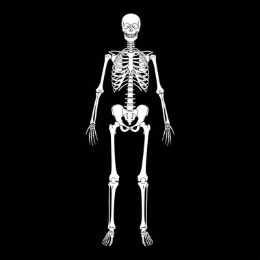 Siyah arka planda insan iskeleti, X-ray kemikleri