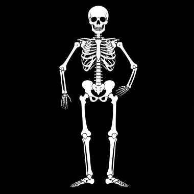 Siyah arka planda insan iskeleti, X-ray kemikleri