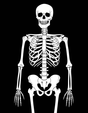 Siyah arka planda insan iskeleti, X-ray kemikleri
