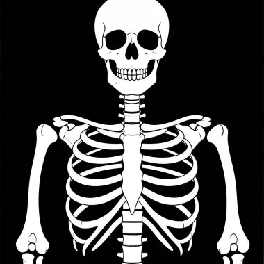 Siyah arka planda insan iskeleti, X-ray kemikleri