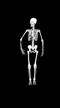 Siyah arka planda insan iskeleti, X-ray kemikleri