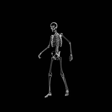 Siyah arka planda insan iskeleti, X-ray kemikleri