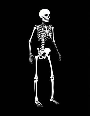 Siyah arka planda insan iskeleti, X-ray kemikleri