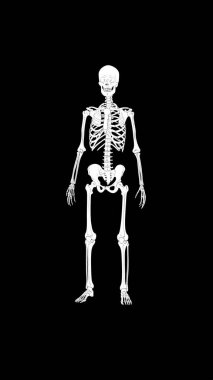 Siyah arka planda insan iskeleti, X-ray kemikleri