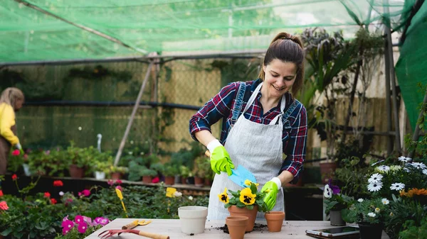 Mulher Feliz Trabalhando Uma Loja Jardim Flores — Fotografia de Stock