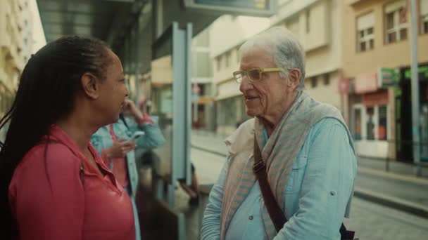 Boldog Multiracionális Idősek Akik Jól Érzik Magukat Miközben Város Villamosmegállójában — Stock videók