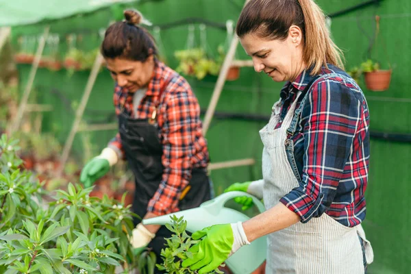 Mulheres Felizes Trabalhando Juntas Plantas Flores Loja Jardim — Fotografia de Stock