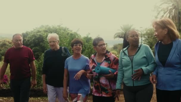 Счастливые Старшие Друзья Гуляющие Вместе Тренажере Парке — стоковое видео