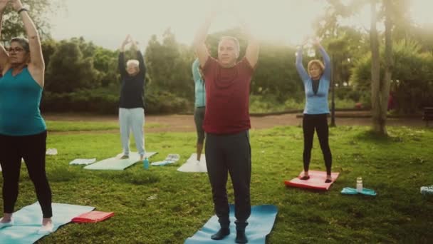 老年人在公园做运动 老年人的健康生活方式 — 图库视频影像