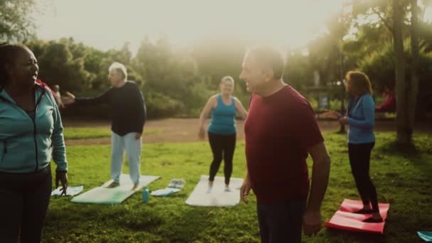 Senioren Beim Workout Öffentlichen Park Gesundheit Für Senioren — Stockvideo