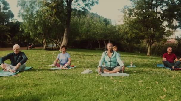 Multirassische Senioren Bei Yoga Meditation Einem Öffentlichen Park Gesundheit Lebensstil — Stockvideo