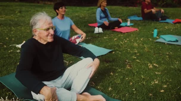 Multirassische Senioren Bei Yoga Meditation Einem Öffentlichen Park Gesundheit Lebensstil — Stockvideo