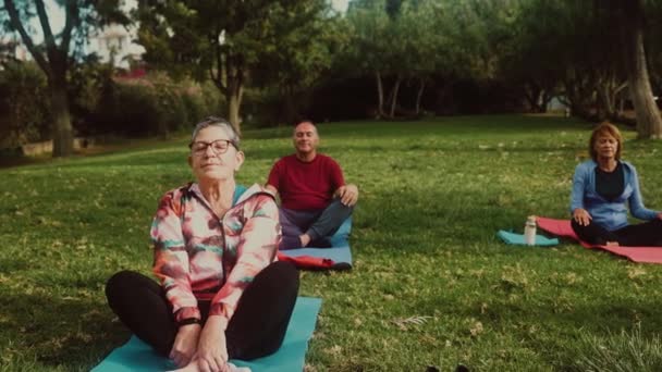 Personnes Âgées Multiraciales Qui Font Méditation Yoga Dans Parc Public — Video