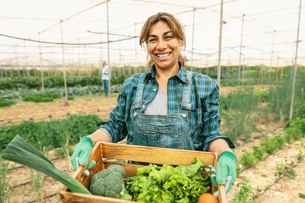 Agricultor Latino Feliz Trabalhando Dentro Estufa Agrícola Conceito Estilo Vida — Fotografia de Stock