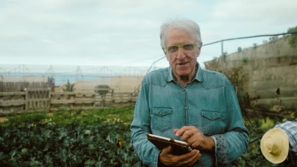 Starszy Rolnik Pracujący Tabletem Farmie Koncepcja Zrównoważonego Rolnictwa — Wideo stockowe